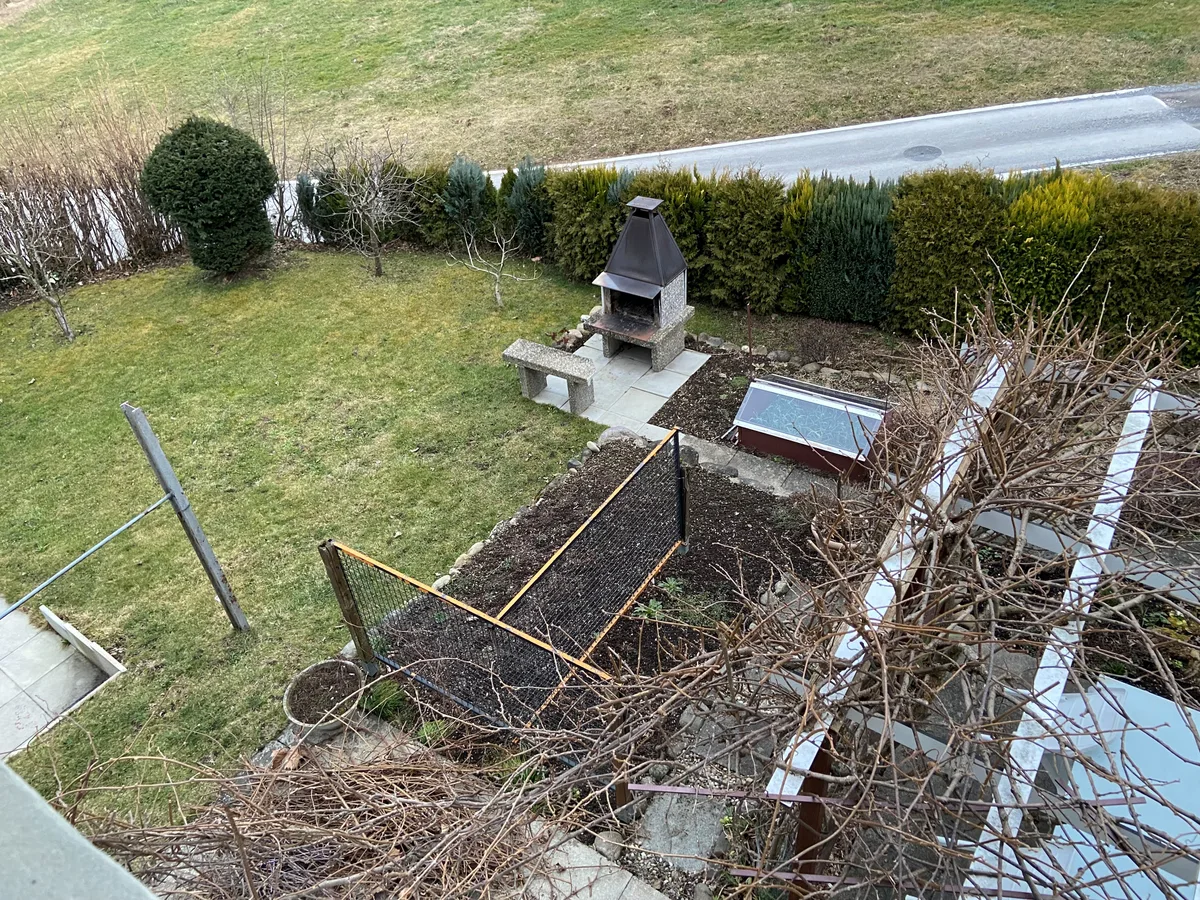 Blick aus dem Fenster auf den Garten